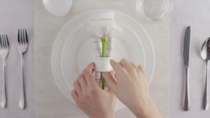 Elevate Your Dining Experience with the WILMAX Steak Knife