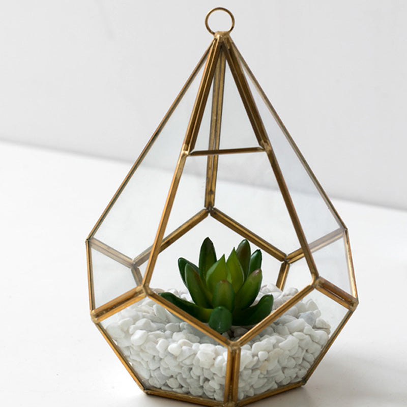 Home Succulent Bonsai Decoration For Indoor Table And Office Styling