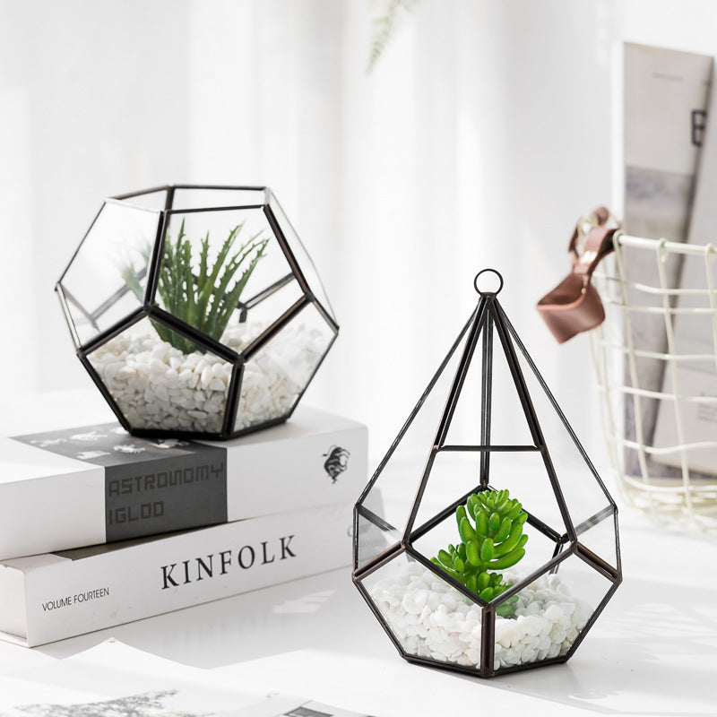 Home Succulent Bonsai Decoration For Indoor Table And Office Styling