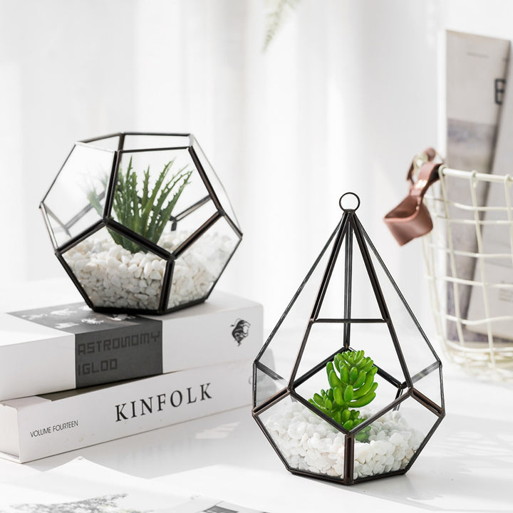 Home Succulent Bonsai Decoration For Indoor Table And Office Styling