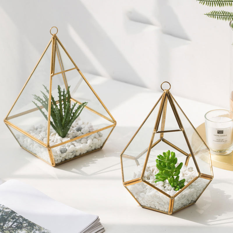 Home Succulent Bonsai Decoration For Indoor Table And Office Styling